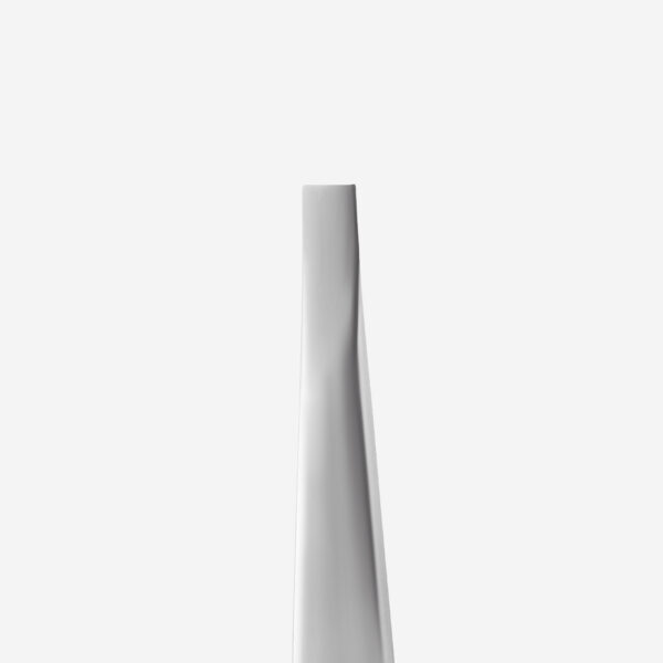 Eyebrow tweezers EXPERT 10 TYPE 1 (wide straight) - Imagen 3